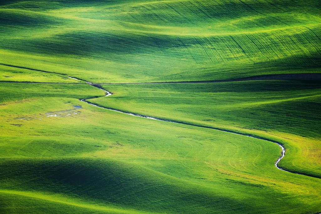 Golf course green 